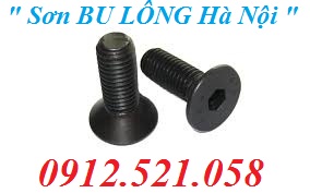 Lục giác chìm đầu Bằng thép đen SVA 130516002